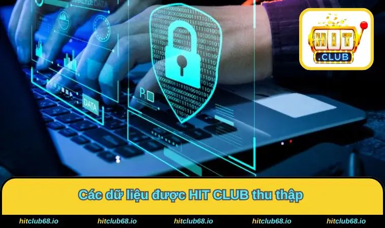 Các dữ liệu được HIT CLUB thu thập 