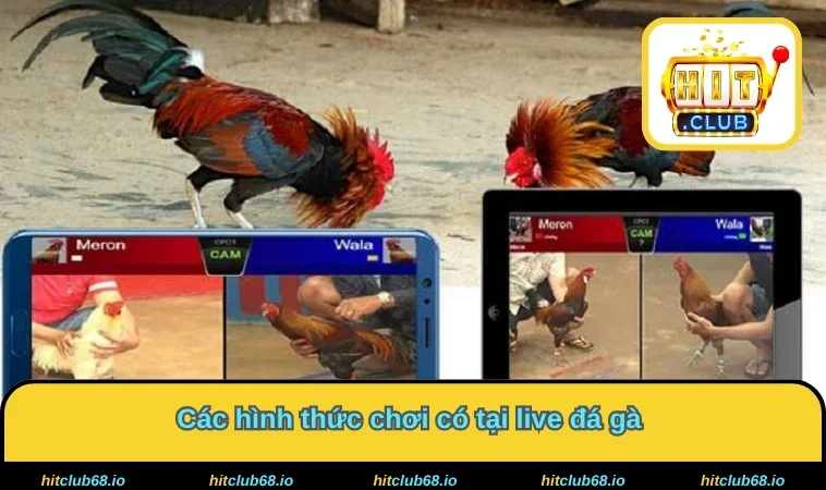 Các hình thức chơi có tại live đá gà 