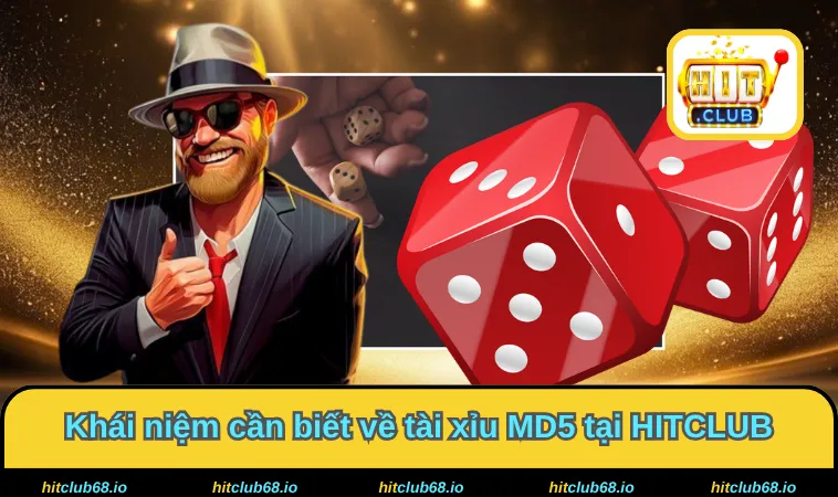Khái niệm cần biết về tài xỉu MD5 tại HITCLUB