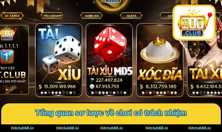 Tổng quan sơ lược về chơi có trách nhiệm